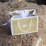 Бумажный пакет-сумка