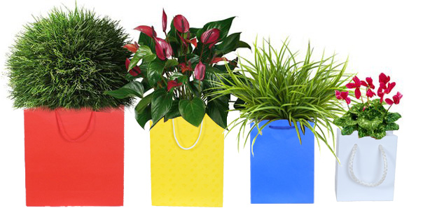 размер бумажных пакетов